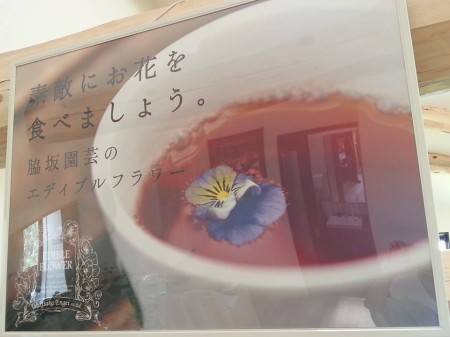 脇坂園芸soel　エディブルフラワー食べられるお花のお店