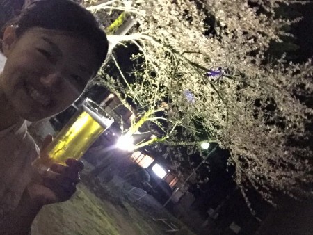 桜満開風