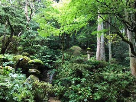 雨降ってしっとり