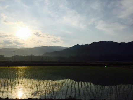 五頭朝の散歩