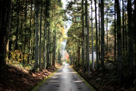 国道290号線から一本、奥にある新潟の一軒宿今板温泉