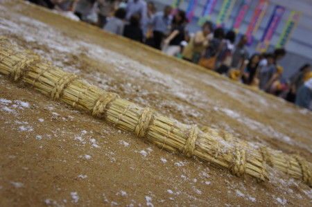 SONY DSC