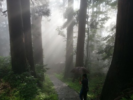 陽が差し込む羽黒山