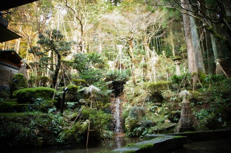 阿賀野市小林造園さんの見事な雪囲い、庭師さんの芸術