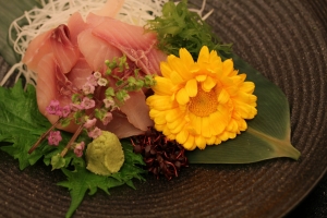 2017.2 Ayumi Shimojo