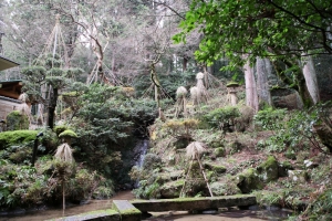 2015.12 Kanae Kozasa