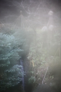 2015.12 Kanae Kozasa