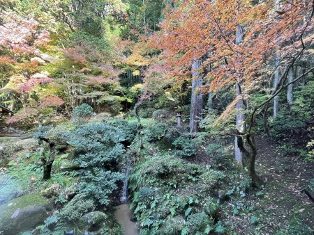 580550319_24955407157448025_7717617803319840297_n