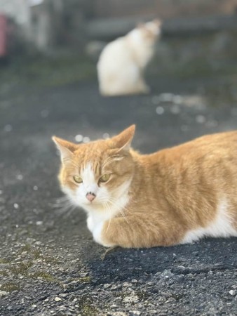 652611359_26040165338972196_1898769751615984036_n