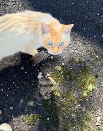 652966453_26040165575638839_4000016618134612461_n