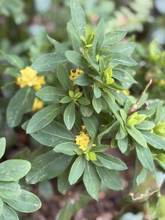 660277209_26188826584106070_719309163289260317_n