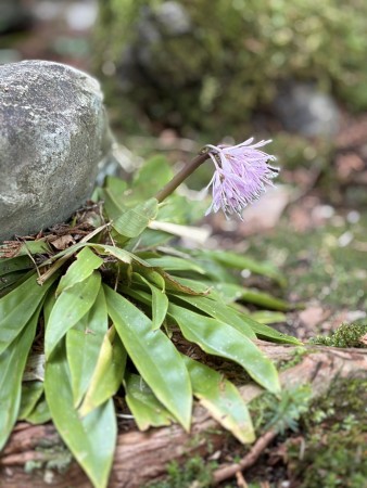 661700370_26188826167439445_6293998703959909081_n