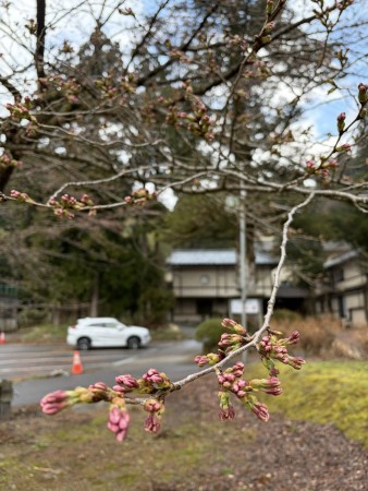 661713568_26188826140772781_6226468647559328815_n