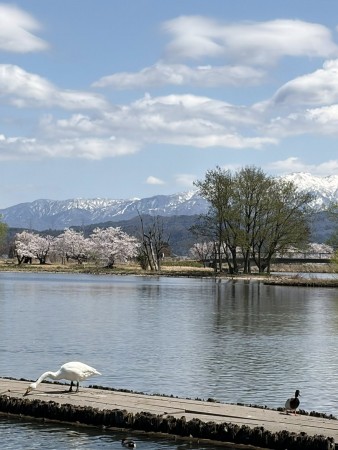 662978032_26265033959818665_4630305398402431242_n