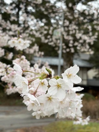 663215492_26236108906044504_8424294709851635593_n