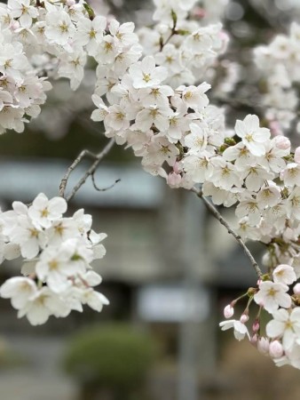 666233737_26236108899377838_3104090757055837588_n