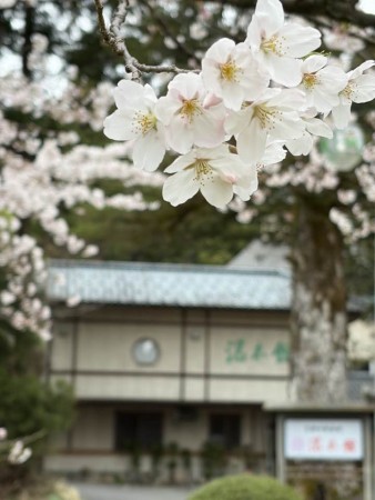 666765334_26236108892711172_3917400510558929915_n