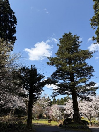 667472735_26265034969818564_223008429411968191_n