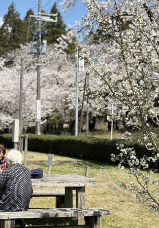 667722029_26265034429818618_600465015523794422_n