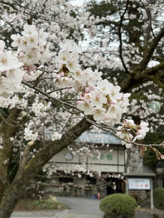 667776229_26236108902711171_1965696505095560690_n