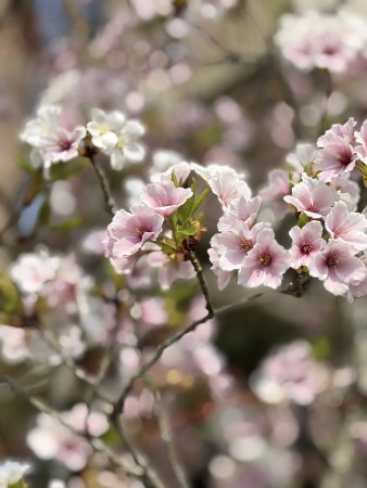 668113549_26265104733144921_7588026524922894086_n