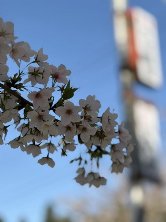 669606893_26328945466760847_7278662718023533177_n