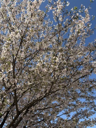 671175084_26328945183427542_4115766727963513040_n