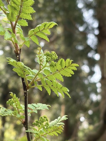 672623103_26371658102489583_4580845368635861359_n