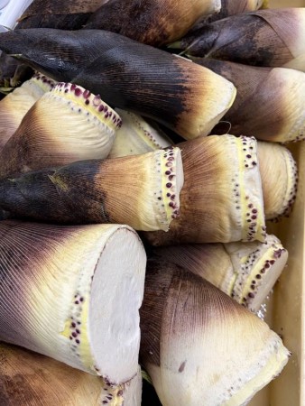 682405884_26473014332353959_6307323659648856008_n