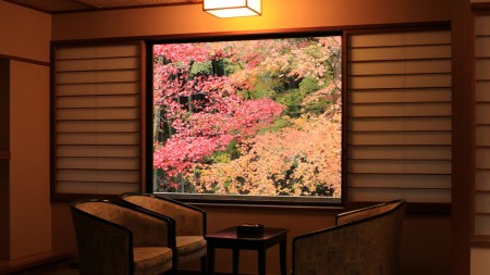 今板温泉湯本舘の窓から見える秋の景色。、真っ赤に染まる紅葉が一面を覆いつくす