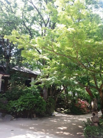 村杉温泉　環翠楼さんの素晴らしい庭園2