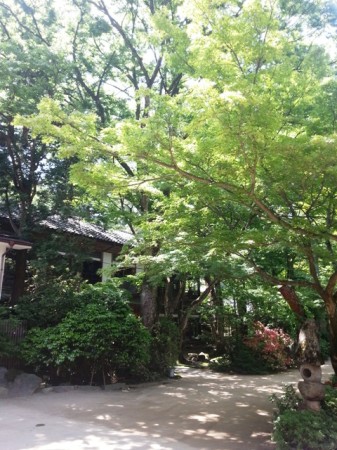 村杉温泉 環翠楼さんの素晴らしい庭園2