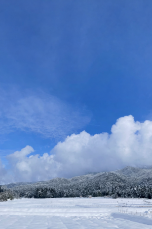 c531085c-0b2c-435a-b6fc-65c95bfba9f7