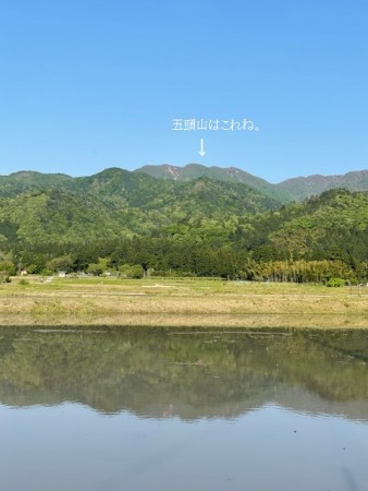 田んぼ